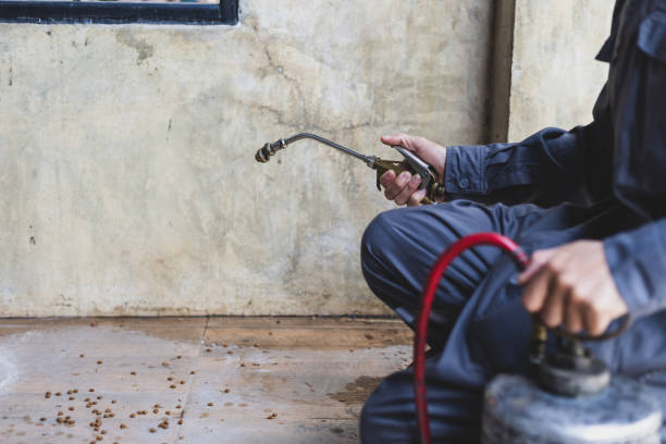 Best Best Pest Control Companies  in Eagle Lake, MN